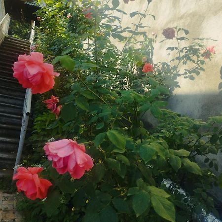 Bbq House Apartment Дилиян Екстериор снимка